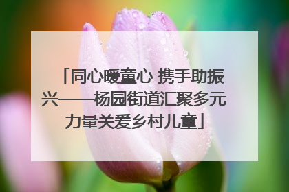 同心暖童心 携手助振兴——杨园街道汇聚多元力量关爱乡村儿童