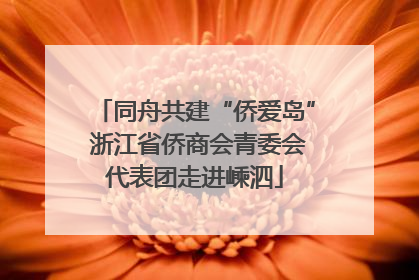 同舟共建“侨爱岛” 浙江省侨商会青委会代表团走进嵊泗