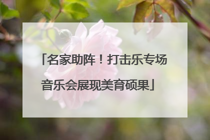 名家助阵！打击乐专场音乐会展现美育硕果