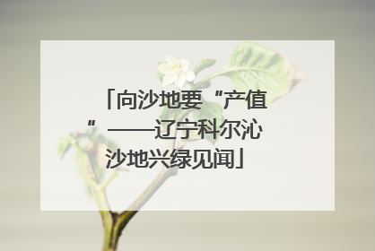 向沙地要“产值”——辽宁科尔沁沙地兴绿见闻