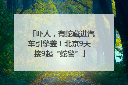吓人，有蛇藏进汽车引擎盖！北京9天接9起“蛇警”