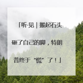 听·见｜搬起石头砸了自己的脚，特朗普终于“慌”了！