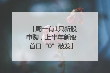 周一有1只新股申购，上半年新股首日“0”破发