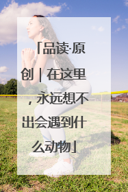 品读·原创｜在这里，永远想不出会遇到什么动物