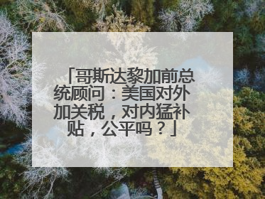 哥斯达黎加前总统顾问：美国对外加关税，对内猛补贴，公平吗？