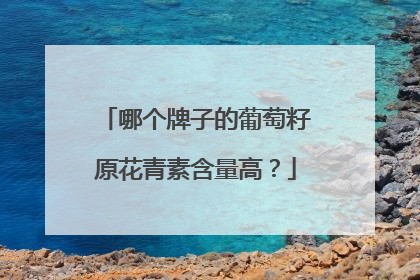哪个牌子的葡萄籽原花青素含量高？