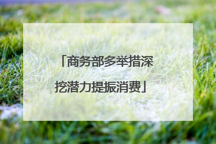 商务部多举措深挖潜力提振消费