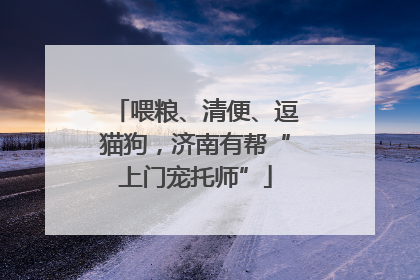 喂粮、清便、逗猫狗，济南有帮“上门宠托师”