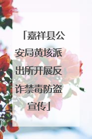 嘉祥县公安局黄垓派出所开展反诈禁毒防盗宣传