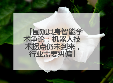 围观具身智能学术争论：机器人技术拐点仍未到来，行业需要纠偏