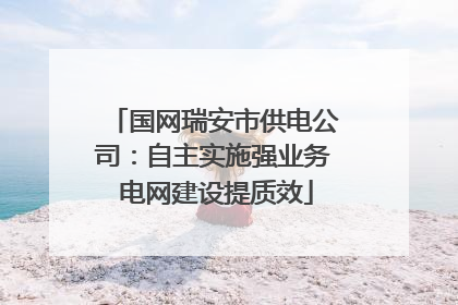 国网瑞安市供电公司：自主实施强业务 电网建设提质效