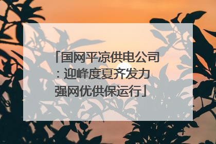 国网平凉供电公司：迎峰度夏齐发力 强网优供保运行
