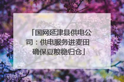 国网延津县供电公司：供电服务进麦田 确保夏粮稳归仓