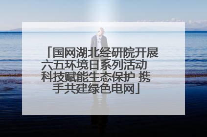 国网湖北经研院开展六五环境日系列活动 科技赋能生态保护 携手共建绿色电网