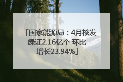 国家能源局：4月核发绿证2.16亿个 环比增长23.94%