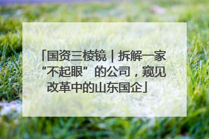 国资三棱镜｜拆解一家“不起眼”的公司，窥见改革中的山东国企