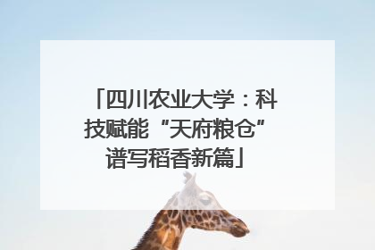 四川农业大学：科技赋能“天府粮仓”谱写稻香新篇