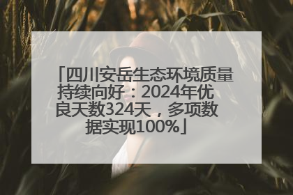 四川安岳生态环境质量持续向好：2024年优良天数324天，多项数据实现100%