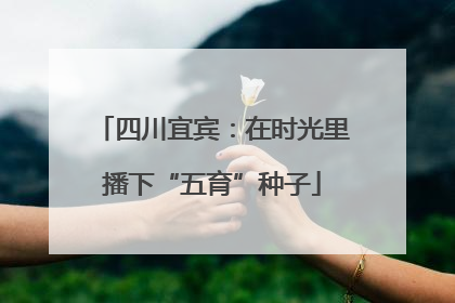 四川宜宾：在时光里播下“五育”种子