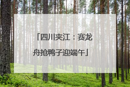 四川夹江：赛龙舟抢鸭子迎端午