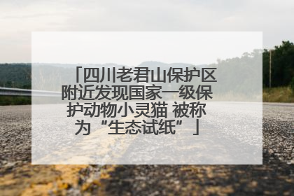 四川老君山保护区附近发现国家一级保护动物小灵猫 被称为“生态试纸”