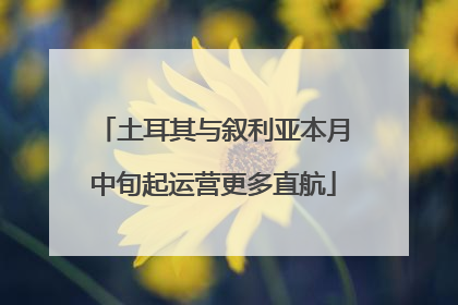 土耳其与叙利亚本月中旬起运营更多直航