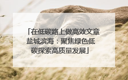 在低碳路上做高效文章 盐城滨海：聚焦绿色低碳探索高质量发展