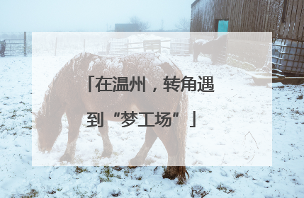 在温州，转角遇到“梦工场”