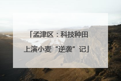 孟津区：科技种田 上演小麦“逆袭”记