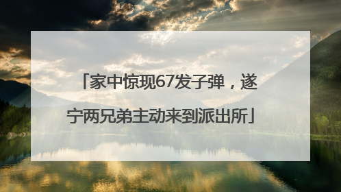 家中惊现67发子弹，遂宁两兄弟主动来到派出所