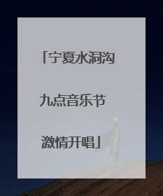 宁夏水洞沟 九点音乐节激情开唱