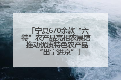 宁夏670余款“六特”农产品亮相农展馆 推动优质特色农产品“出宁进京”