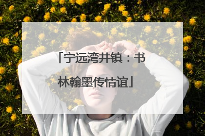 宁远湾井镇：书林翰墨传情谊
