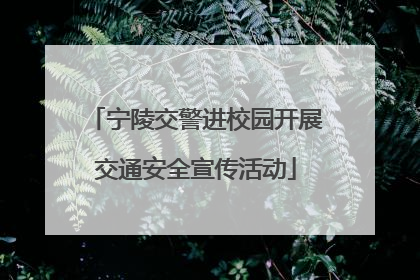 宁陵交警进校园开展交通安全宣传活动