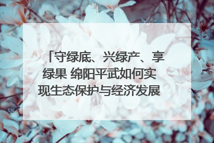 守绿底、兴绿产、享绿果 绵阳平武如何实现生态保护与经济发展双赢？｜新闻发布最前线·深一度