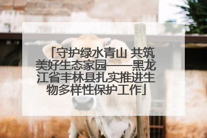 守护绿水青山 共筑美好生态家园——黑龙江省丰林县扎实推进生物多样性保护工作