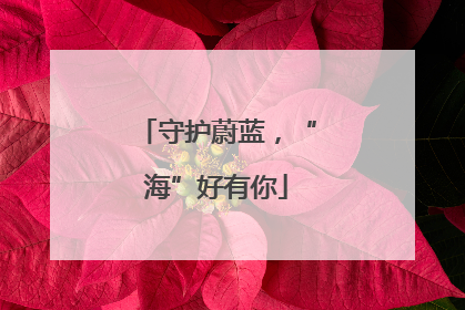 守护蔚蓝，“海”好有你