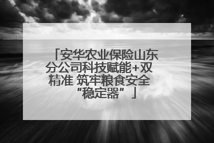 安华农业保险山东分公司科技赋能+双精准 筑牢粮食安全“稳定器”