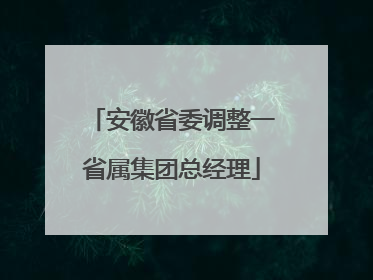 安徽省委调整一省属集团总经理