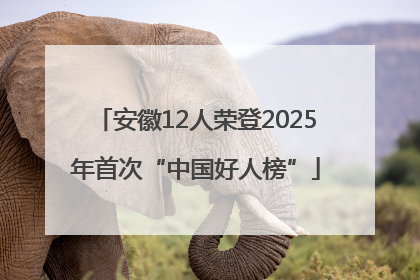 安徽12人荣登2025年首次“中国好人榜”
