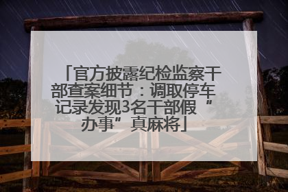 官方披露纪检监察干部查案细节：调取停车记录发现3名干部假“办事”真麻将