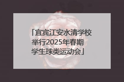 宜宾江安水清学校举行2025年春期学生球类运动会