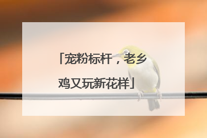 宠粉标杆，老乡鸡又玩新花样