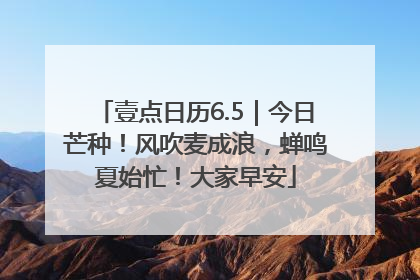 壹点日历6.5｜今日芒种！风吹麦成浪，蝉鸣夏始忙！大家早安