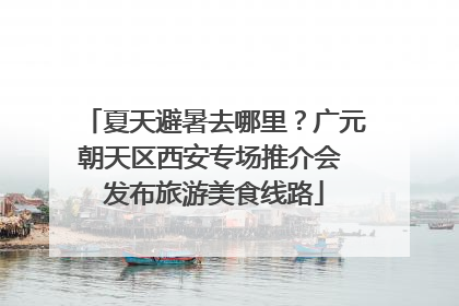 夏天避暑去哪里？广元朝天区西安专场推介会 发布旅游美食线路