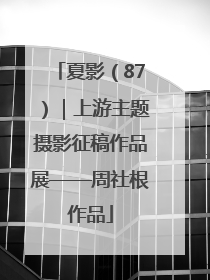 夏影（87）｜上游主题摄影征稿作品展——周社根作品