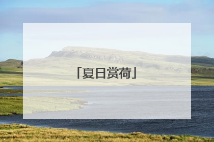 夏日赏荷
