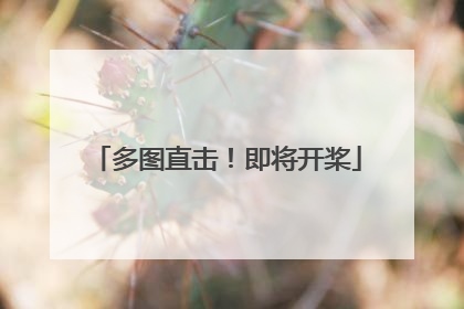多图直击！即将开桨