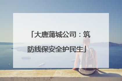 大唐蒲城公司：筑防线保安全护民生