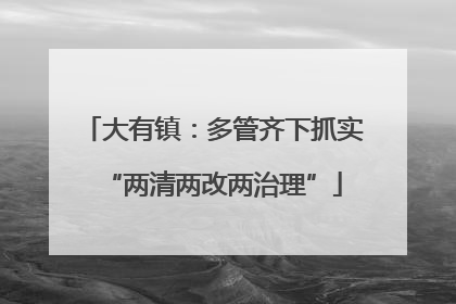 大有镇：多管齐下抓实“两清两改两治理”